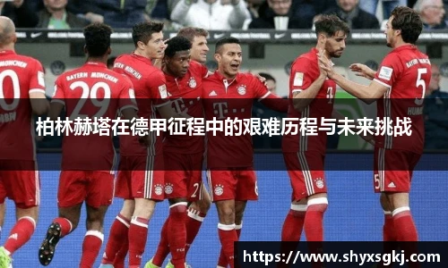 柏林赫塔在德甲征程中的艰难历程与未来挑战